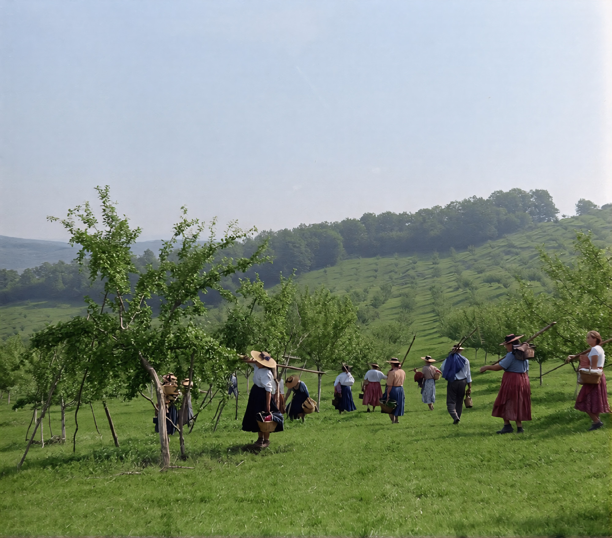 Ad similitudinem terrae humiles